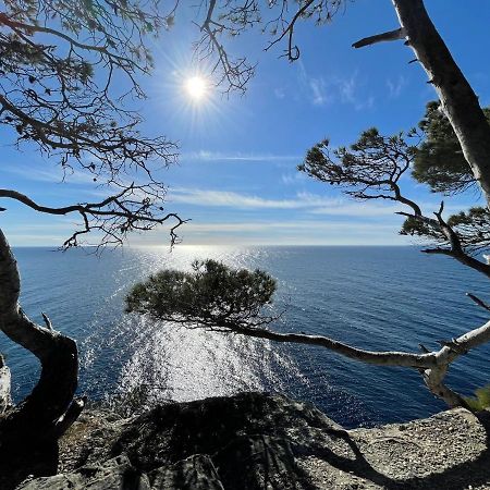 Appartement En Residence Privee, Face A La Mer Avec Acces Direct Plage Hyeres Bagian luar foto
